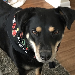 Fundraising Page: Julie Crawford